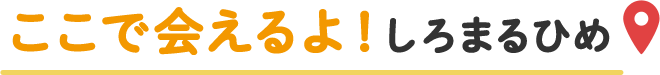 ここで会えるよ!しろまるひめ